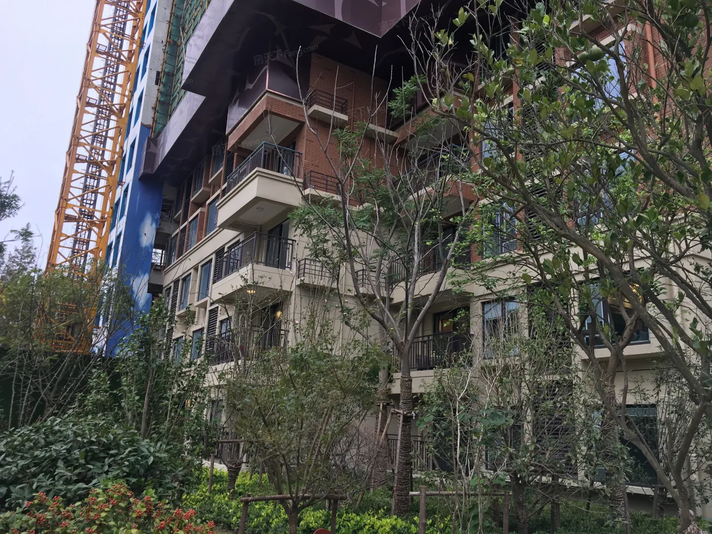 [实拍看房]分享凤鸣海尚的看房经历,如果你也和我一样在犹豫