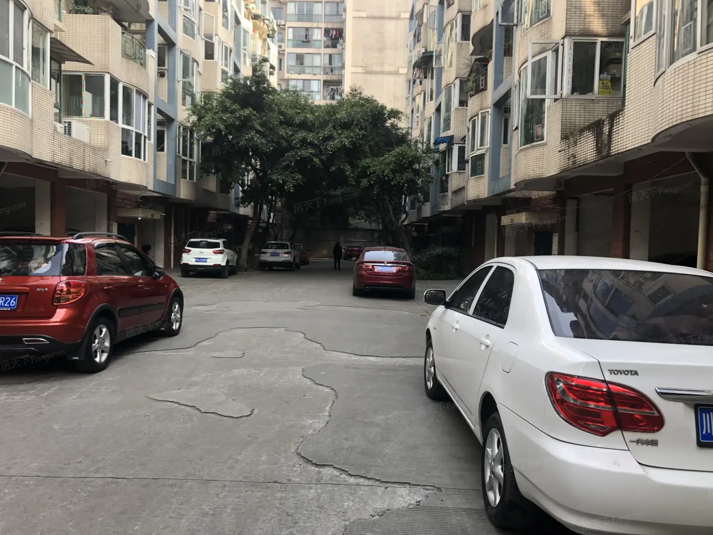 成都住宅楼盘 瑞升丽苑 楼盘首页 武侯-玉林玉林西路102号查看地图