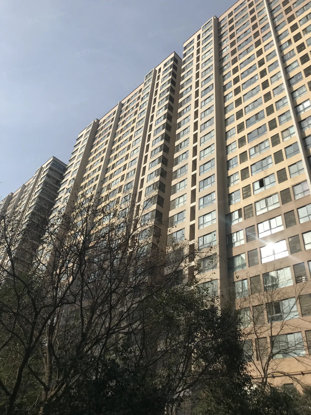 天地源枫林意树实景图-楼盘外观