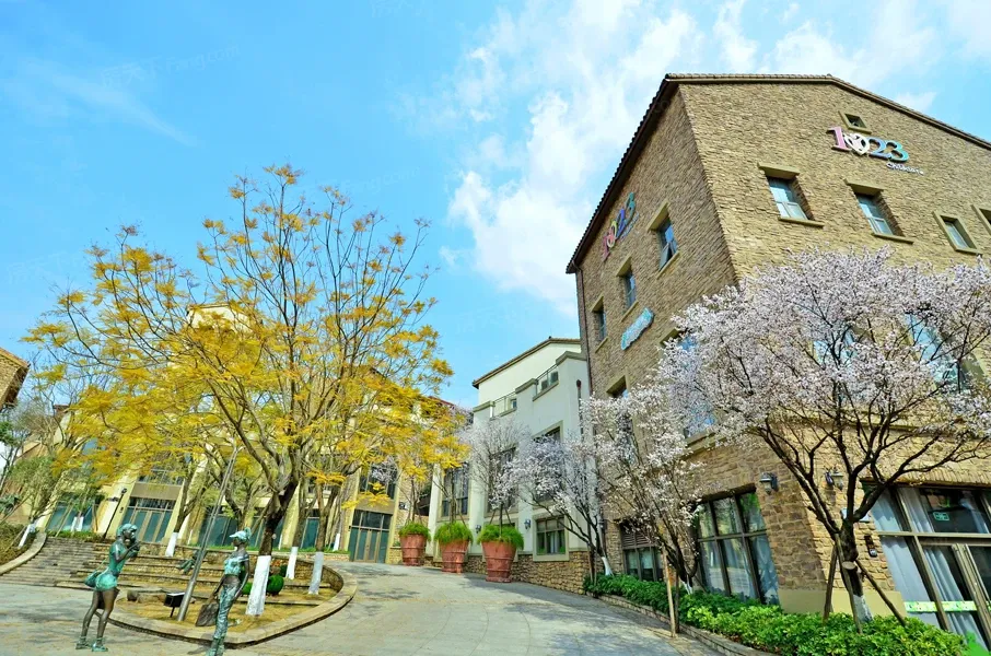 麓山国际社区茵特拉肯怎么样,好不好_麓山国际社区茵特拉肯评价-成都