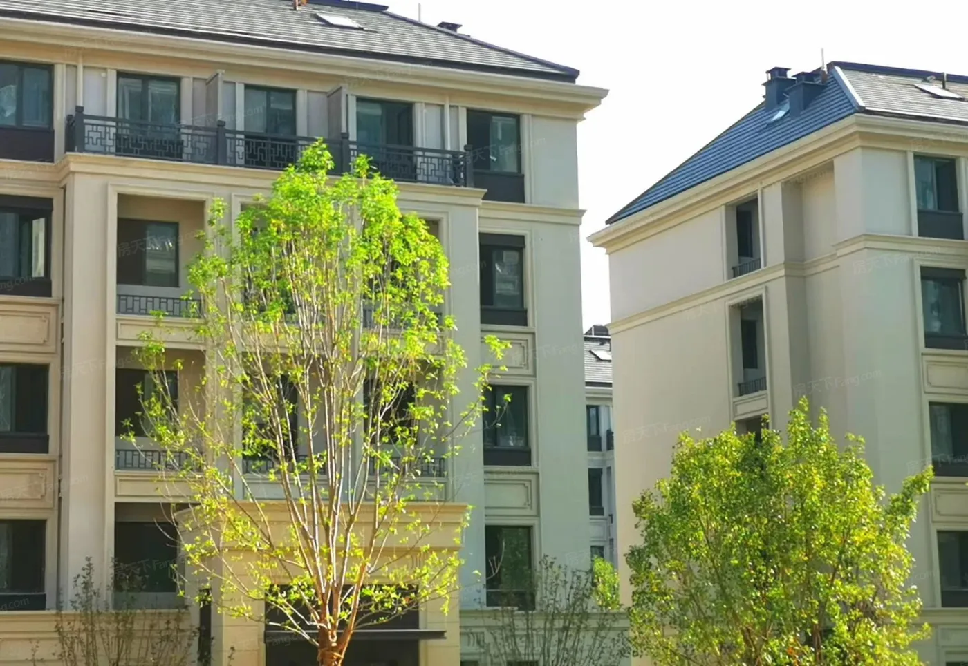 【实拍】绿城·西府海棠,原来你是这样的楼盘!