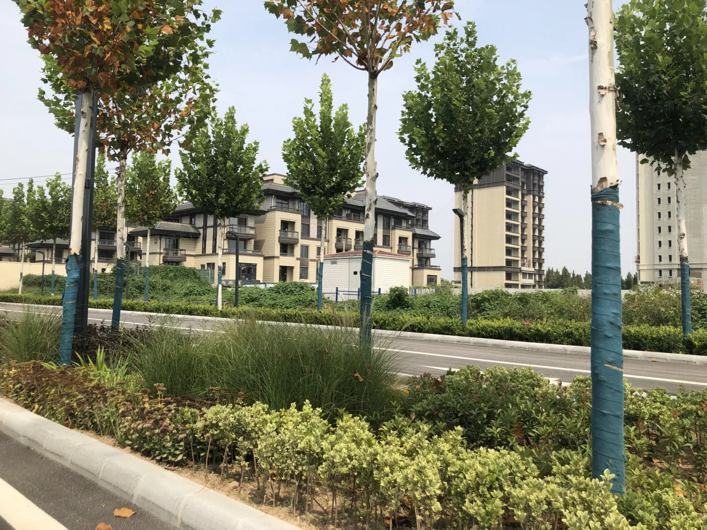 沣西逸园处于前期咨询中