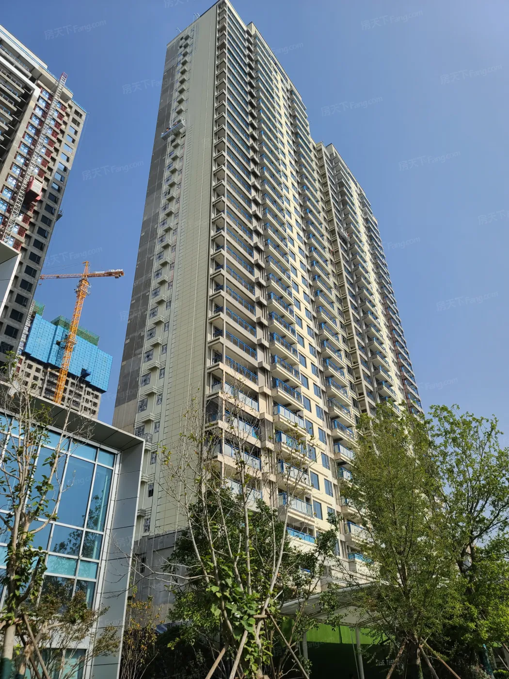 中建星光城1617楼vip线上登记开启