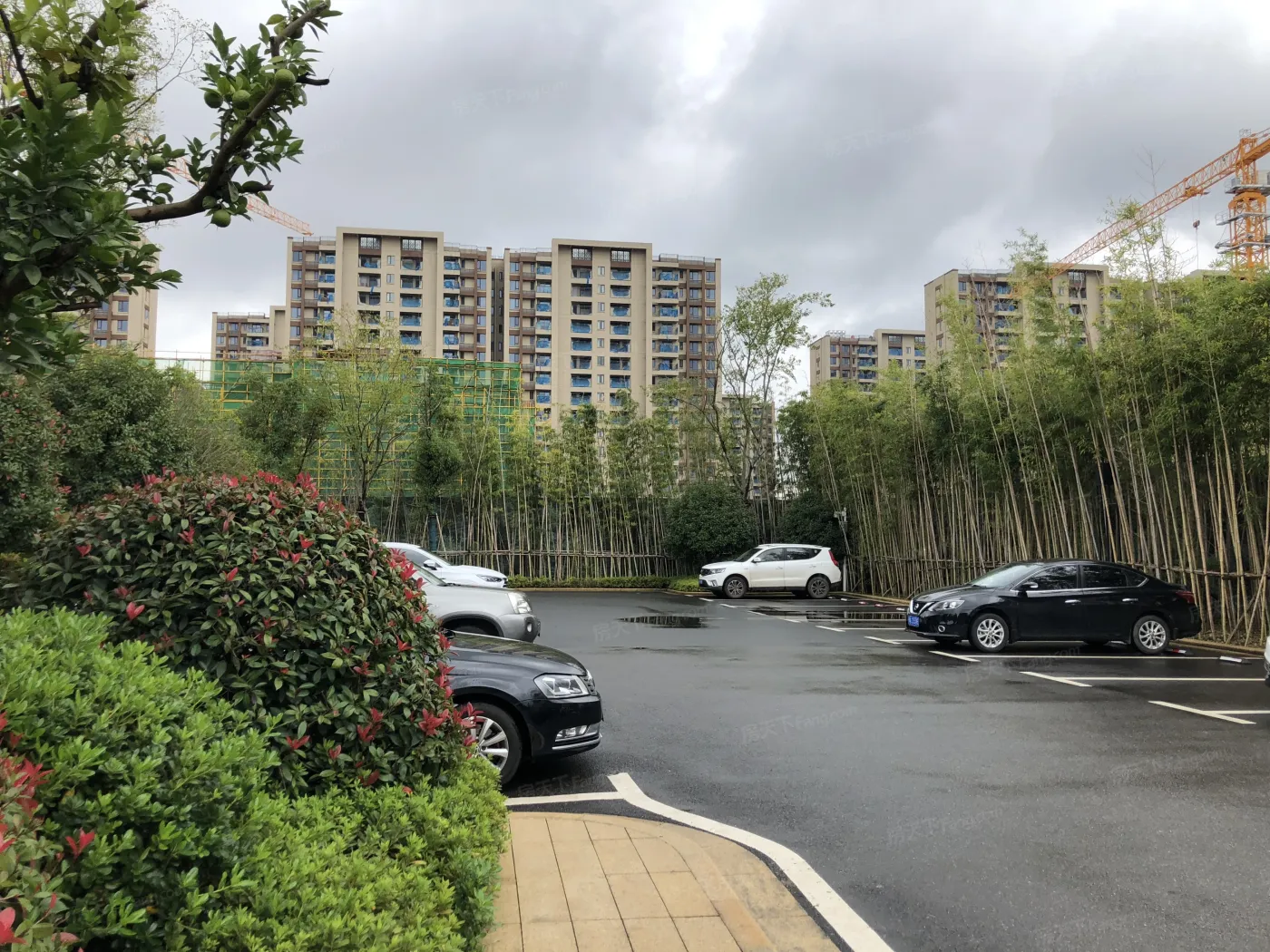 阳逻金茂府洋房均价约9600元平