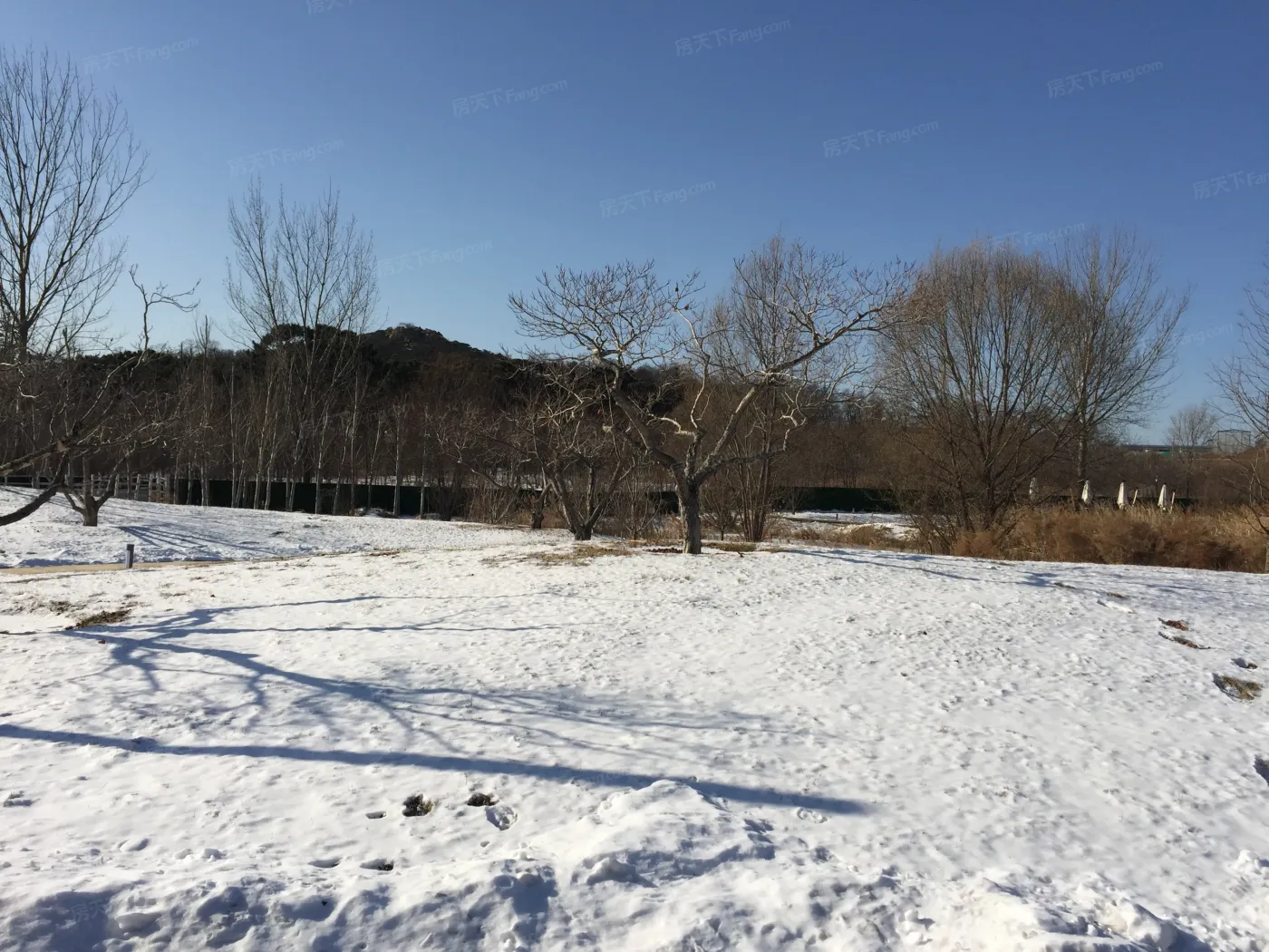 【高清图】秦皇岛富力公元山怎么样?实探感受:我看行!