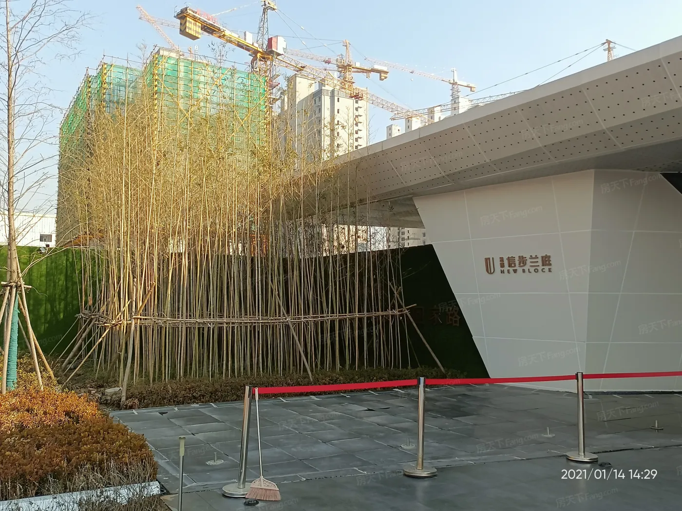 金辉·信步兰庭最新人气置业顾问排行榜!不要错过!