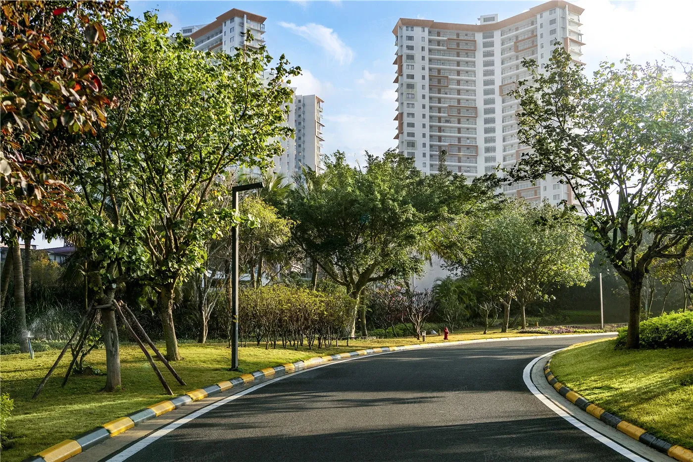 实景图:道路景观