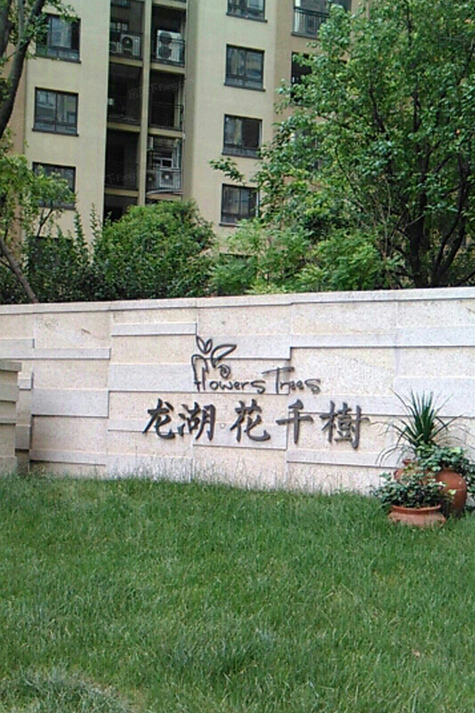 花千树logo图片