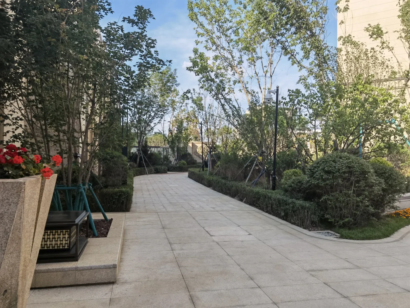 实景图:小区人行道