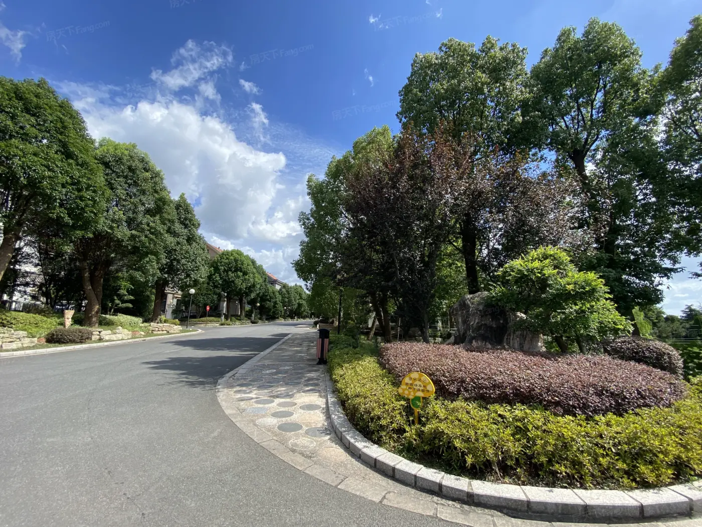 实景图:小区绿化