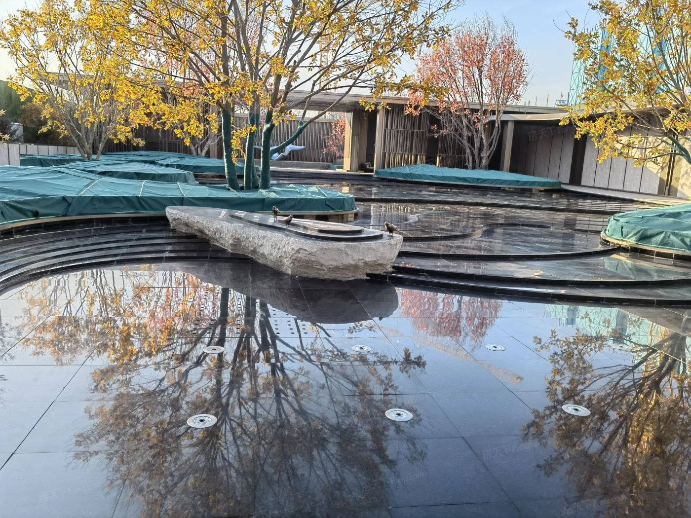 实景图:园区水系