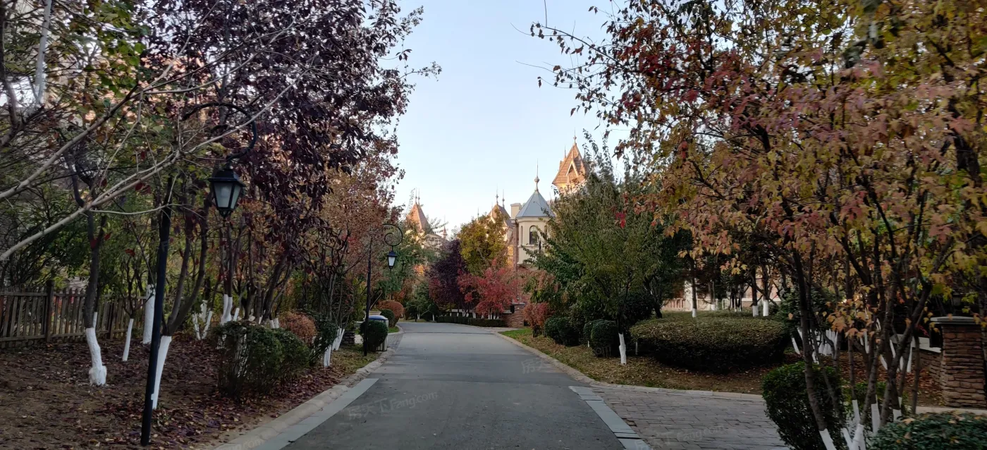 国王湖:小独栋均价约26000元/㎡_国王湖-沈阳房天下