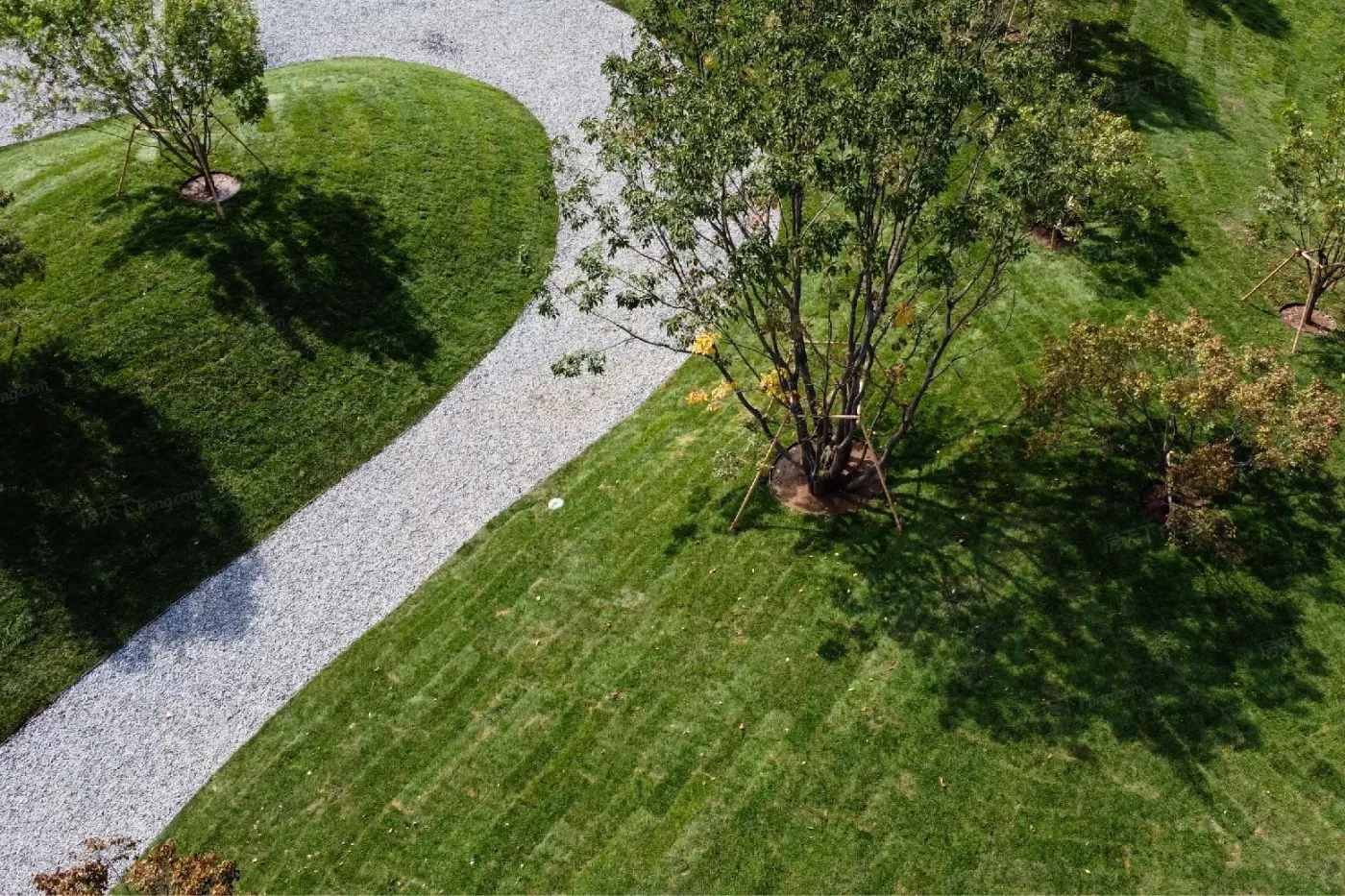 实景图:坡地公园