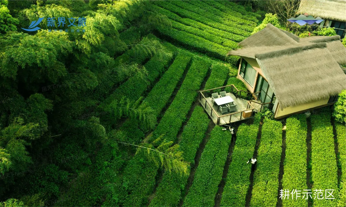 茅田生态旅游度假区效果图