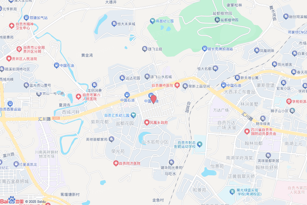 铂斯国际