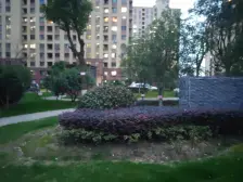 正规三房,采光好,一手动迁,税费少,业主诚心出售