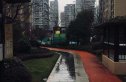 万科尚都荟实景图