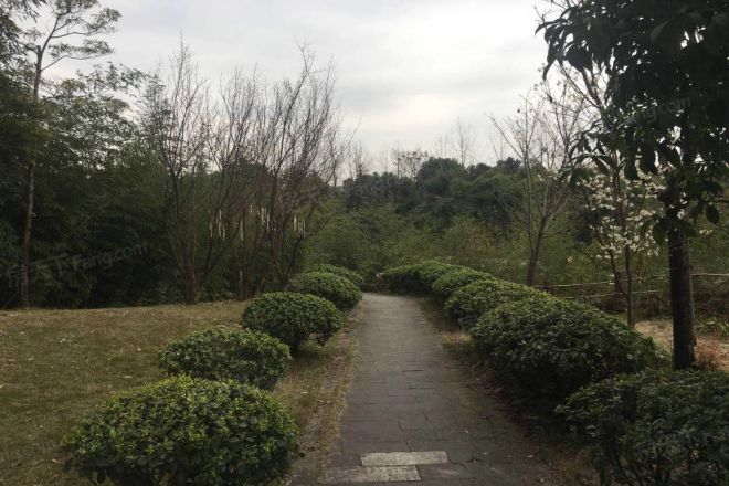 首创十方界峰度实景图