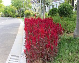 岭海片区独栋别墅前后花园门口有停车位