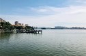 丰泰·湾区风华世家实景图