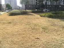 南北通,电梯房,好楼层,诚意出售。