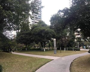 住家安静空气好,楼层适中小区环境棒