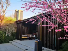 金科天籁城东区 3室2厅 南 北