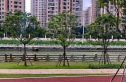 华润紫云府实景图