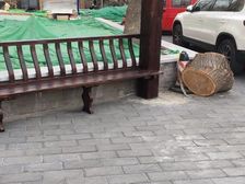 机械部汽南小区南北通透大三居有电梯楼龄新