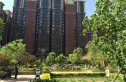 公园6号实景图