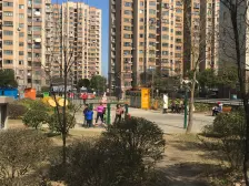 景观楼层,采光好,看房方便,看中价格可以谈的价可谈