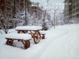 雪后实景