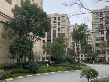 次新小区,法式别墅,一手买进,从未入住,随时可以看