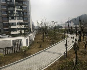 朝南的露台,精装修房子,3房,南北通,