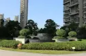 公园6号实景图