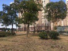 景观楼层,采光好,看房方便,看中价格可以谈的价可谈