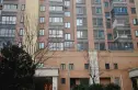 花样年幸福万象实景图