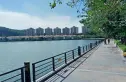 丰泰·湾区风华世家实景图