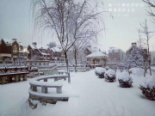 雪后实景