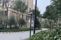 法兰西世家公寓实景图
