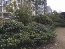 公园一村 房东诚心出售 小面积适合一个人住