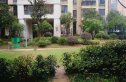花样年幸福万象实景图