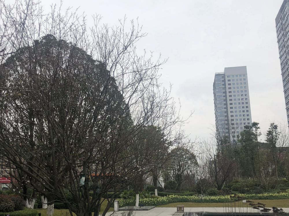 小区相关图