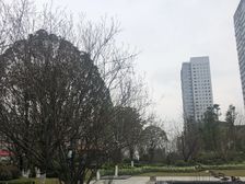朗基紫境东来4室2厅西