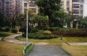花样年幸福万象实景图