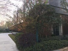 联排大边套 4房设计 大面宽 采光充足 大花园