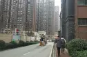 平安光谷春天实景图