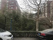 彩虹城三区1室1厅南