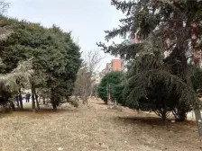 好楼层 南北通 户型规整 精装修