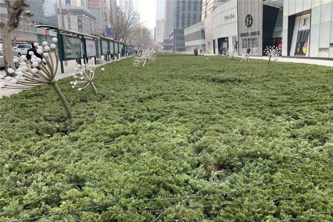 大连时代购物广场实景图